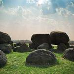 Roderick Hoppe Profile Picture