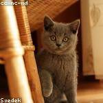 Violette Ruecker Profile Picture