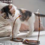 Toby Littel Profile Picture