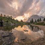 Oleta Herman Profile Picture