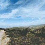 Taya Monahan Profile Picture